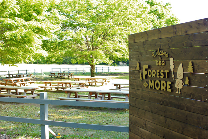 forest more入口