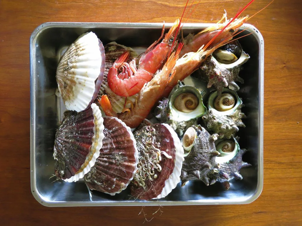 バーベキューのオススメ食材料リスト 初心者も安心の基本セット 手ぶらbbqならアップグリル バーベキューのオススメ食材料リスト 初心者も安心の基本セット 手ぶらbbqならアップグリル