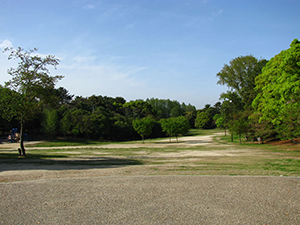 公園