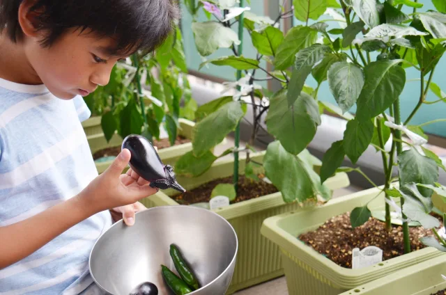 バーベキュー焼き野菜 ナスの魅力 夏も冬も美味 手ぶらbbqならアップグリル