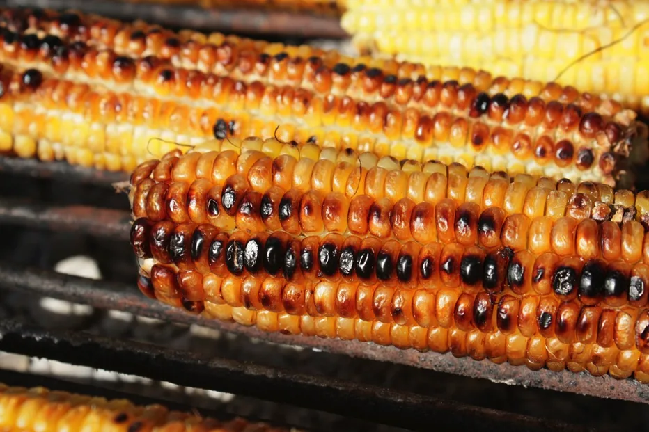 バーベキューでのトウモロコシの美味しい食べ方 教えて先生 手ぶらbbqならアップグリル